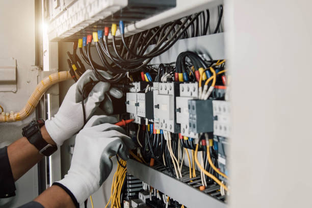 Best Local Electrician Companies  in Venice Gardens, FL